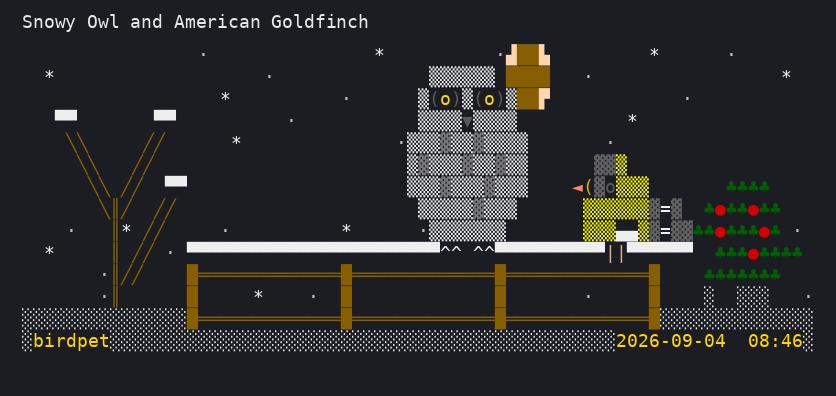 SnowyOwl
